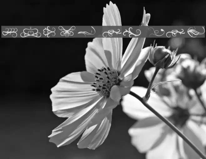 Tears Of Joy Font examples