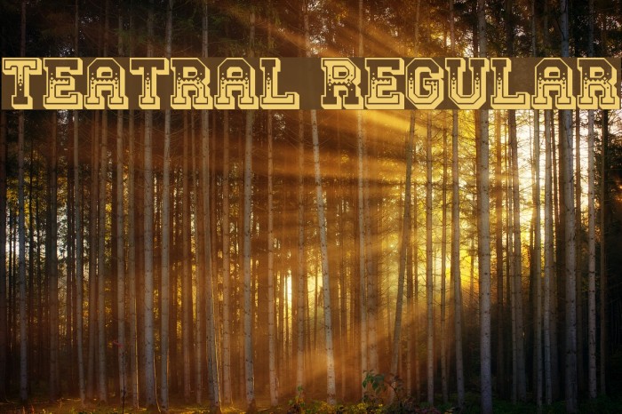 Teatral Regular Example 2