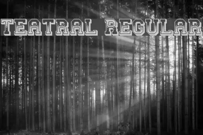 Teatral Regular Font examples