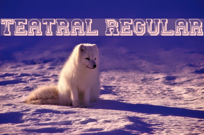 Teatral Regular Example 3