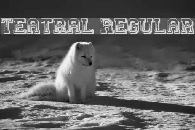 Teatral Regular Font examples