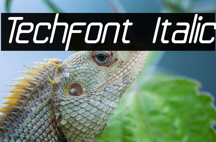 Techfont Italic Example 2