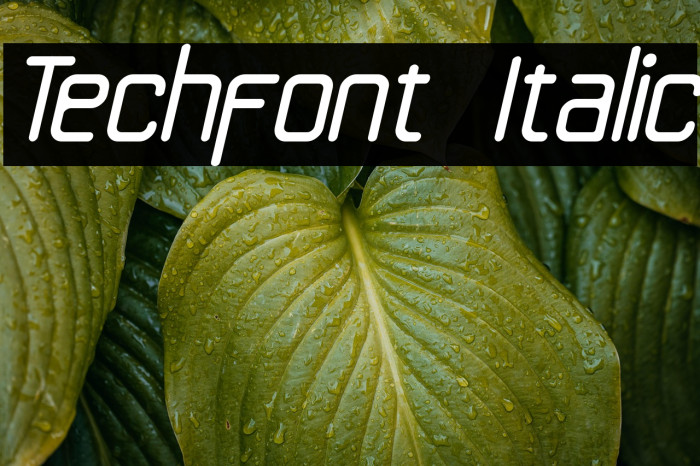 Techfont Italic Example 3