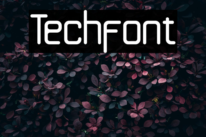 Techfont Example 1