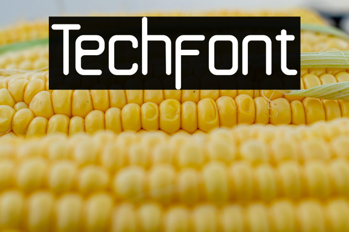 Techfont Example 3