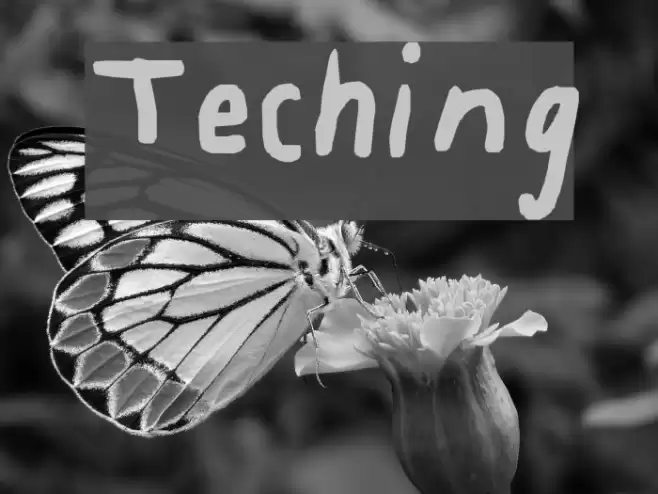 Teching Font examples