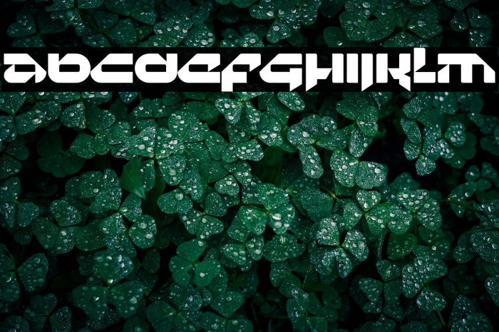 Techla Personal Used Example 2