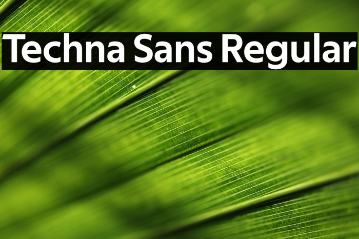 Techna Sans Regular Example 1