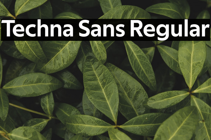 Techna Sans Regular Example 2
