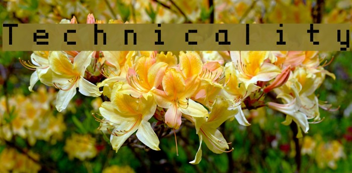 Technicality Font examples
