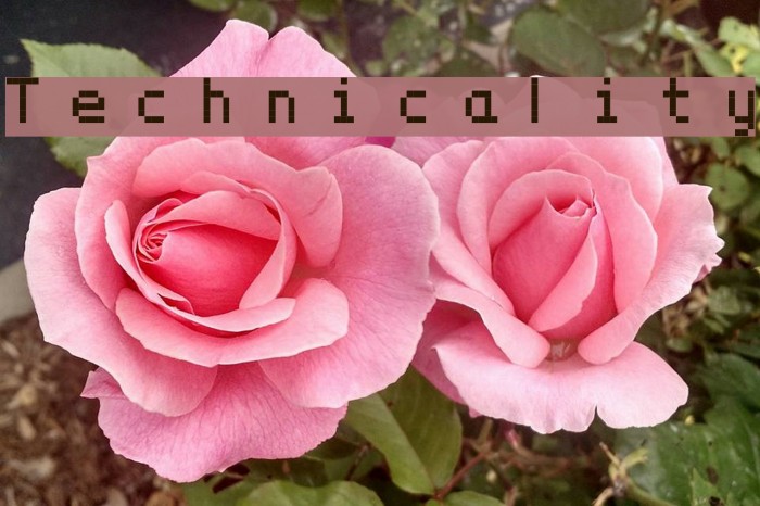 Technicality Font examples