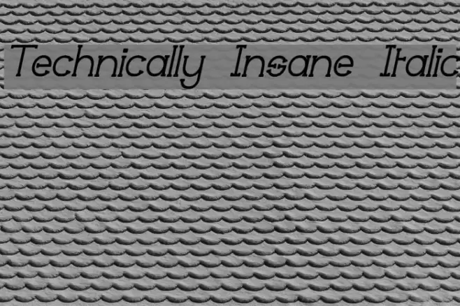 Technically Insane Italic フォント examples
