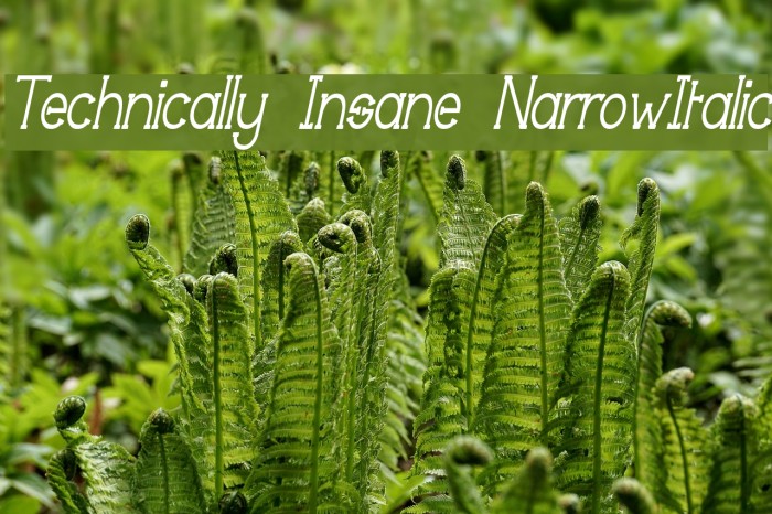 Technically Insane NarrowItalic Fonte examples