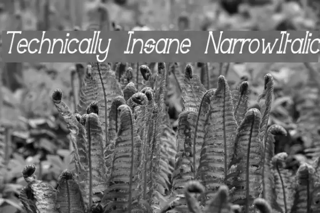 Technically Insane NarrowItalic Fonte examples