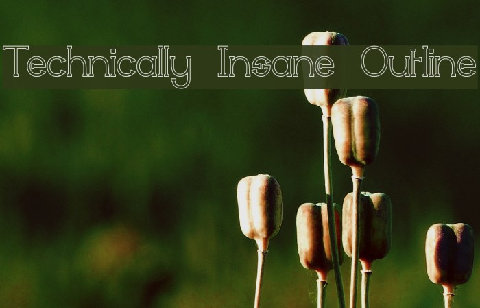 Technically Insane Outline Font examples