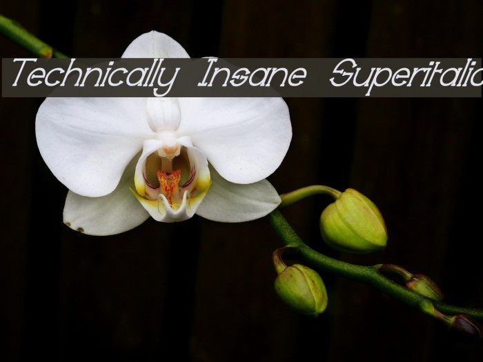 Technically Insane Superitalic Font examples