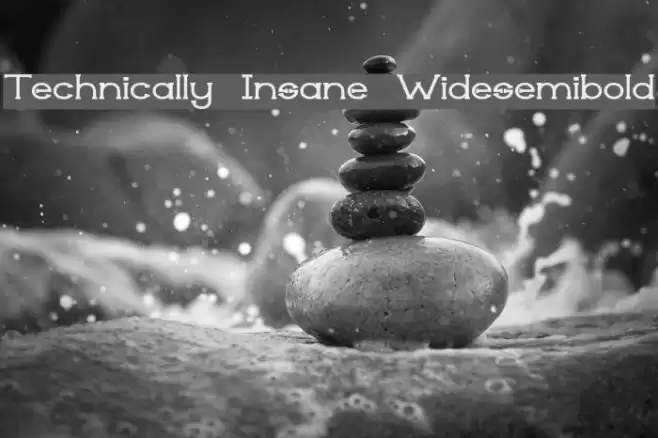 Technically Insane Widesemibold خط examples