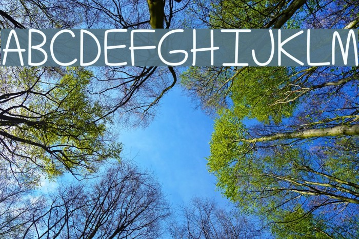 TechnicallyButNotActually Font examples