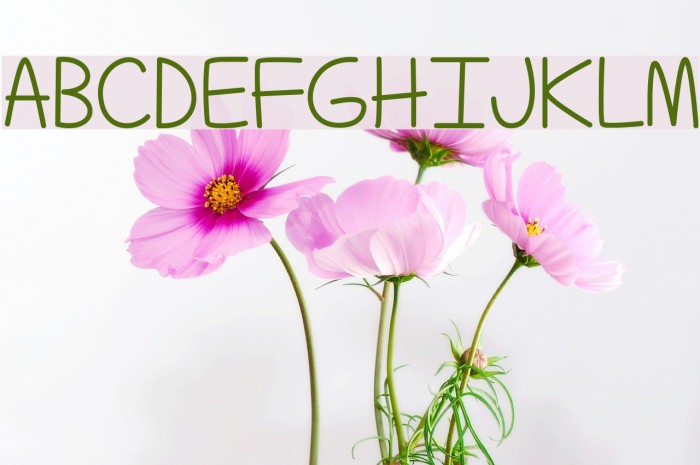 TechnicallyButNotActually Font examples
