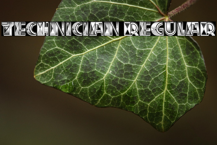 Technician Regular Example 2