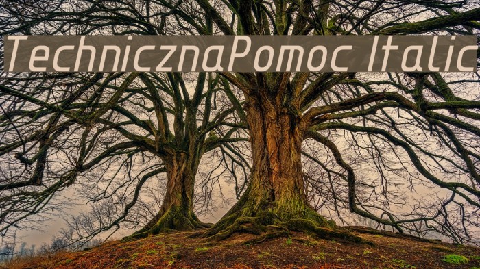 TechnicznaPomoc Italic Font examples
