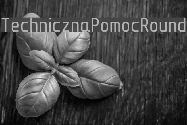 TechnicznaPomocRound フォント examples