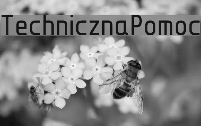 TechnicznaPomoc Font examples