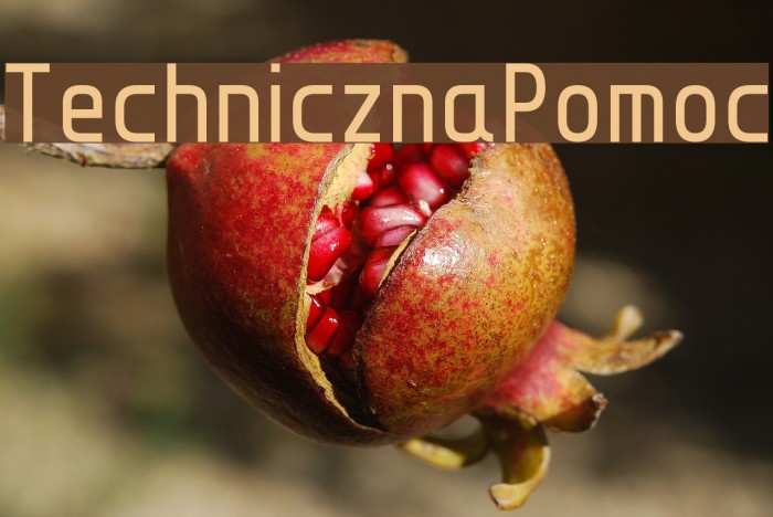 TechnicznaPomoc Font examples