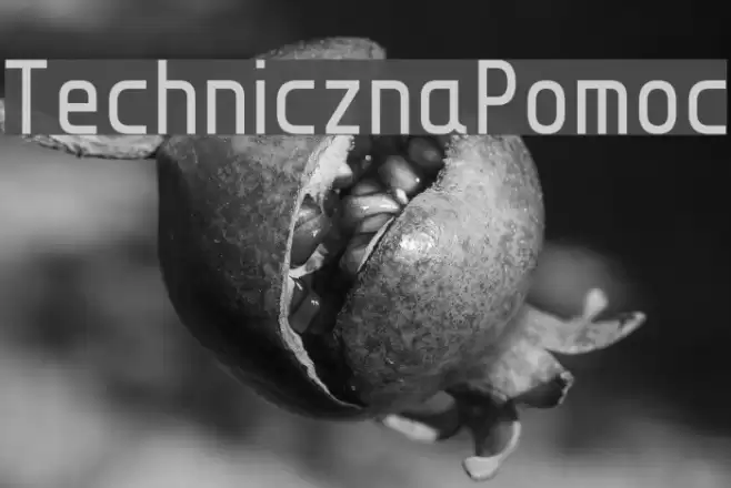 TechnicznaPomoc Font examples