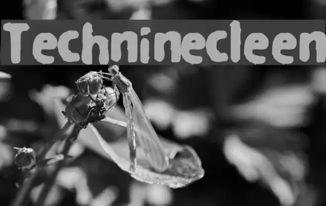 Techninecleen Font examples