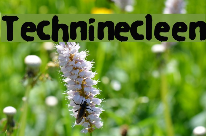 Techninecleen Font examples
