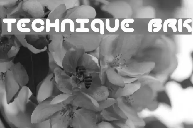 Technique BRK Font examples