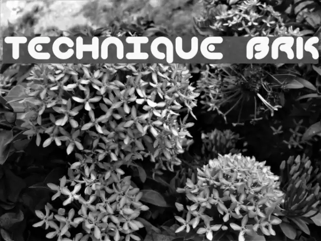 Technique BRK Font examples