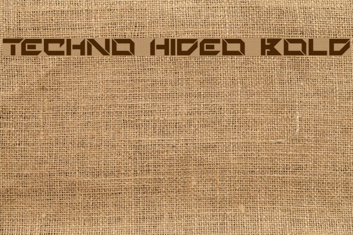 Techno Hideo Bold Example 2