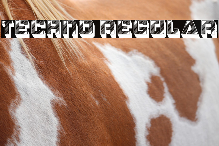 Techno Regular Example 1