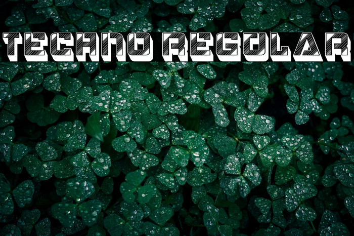 Techno Regular Example 2