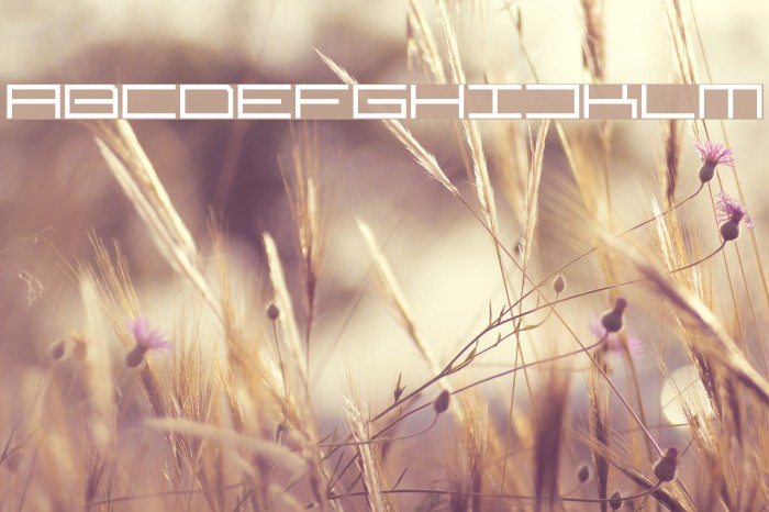 Techno 'Til Dawn Font examples
