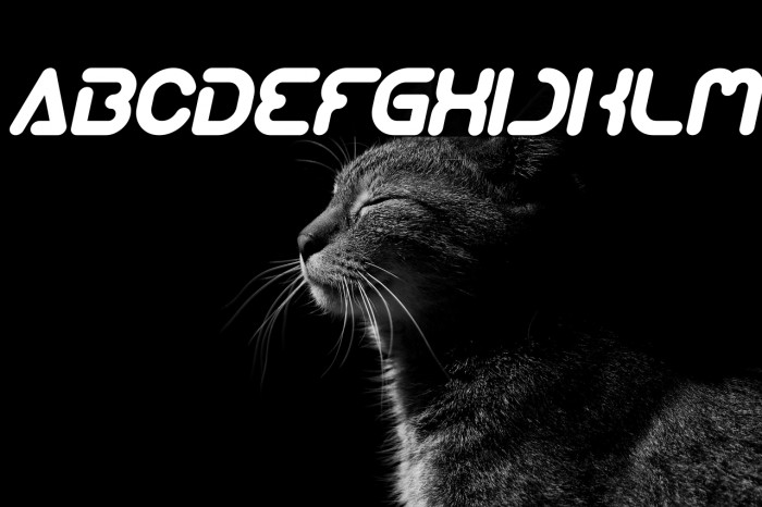 Techno Various Bold Italic Example 2