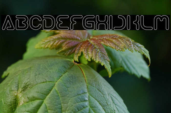 Techno Various-Hollow Example 3