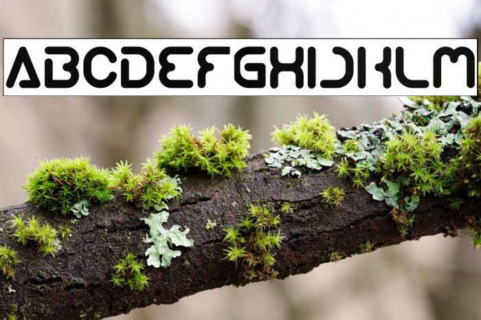 Techno Various-Inverse Example 1