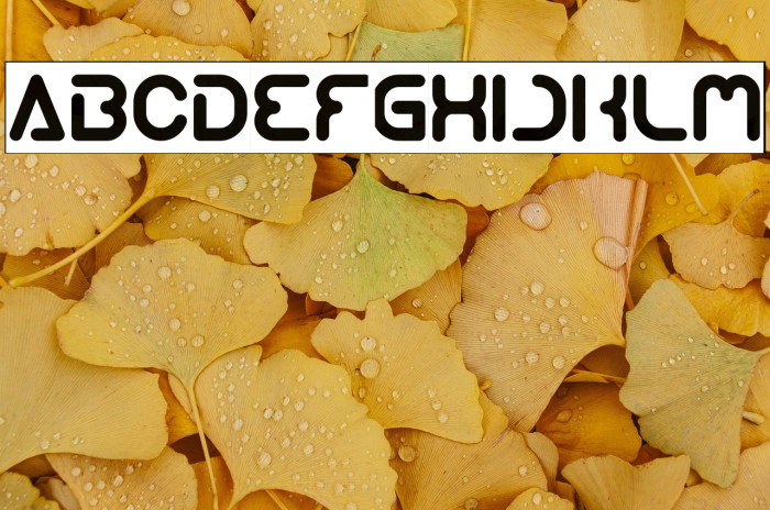 Techno Various-Inverse Example 3