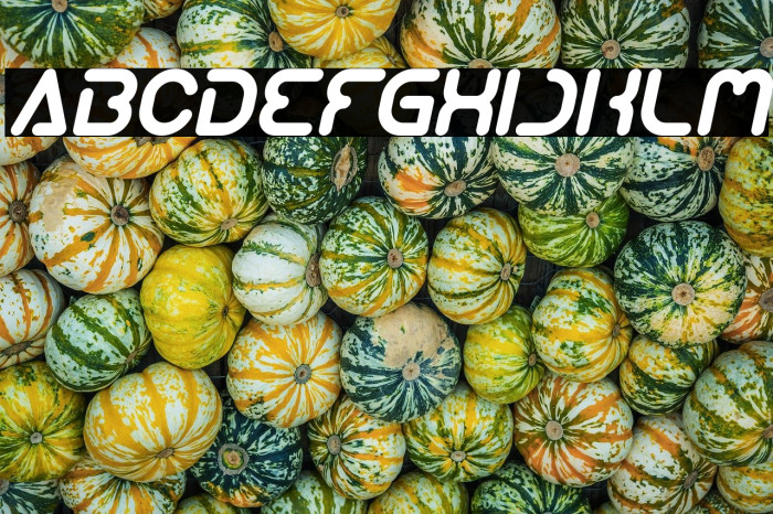 Techno Various Italic Example 1