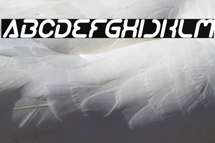 Techno Various Italic Example 2