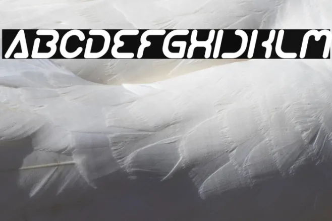 Techno Various Italic Example 2