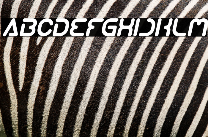 Techno Various Italic Example 3