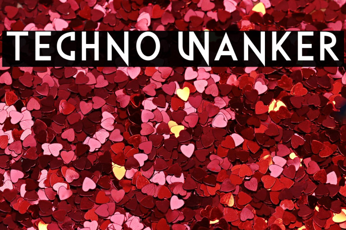 Techno Wanker Example 2