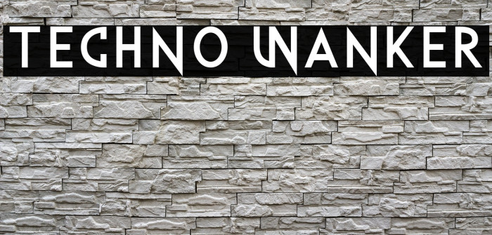 Techno Wanker Example 3