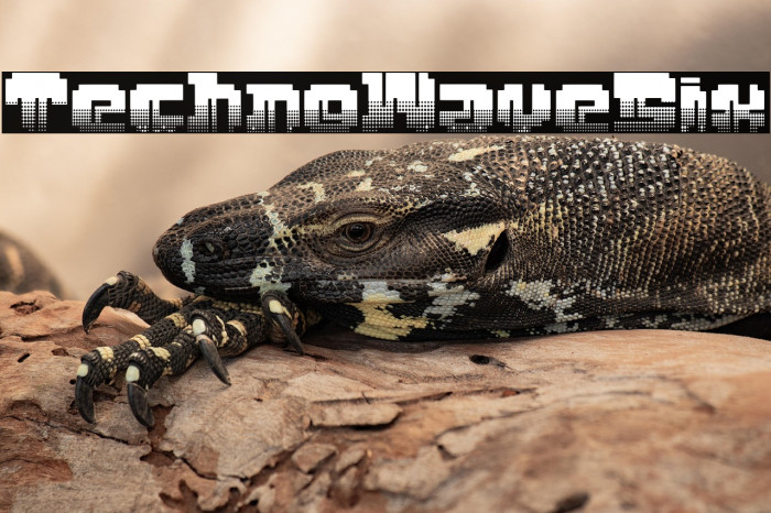 Techno Wave Six Example 3