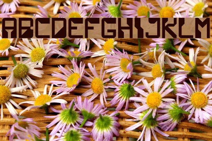 TechnoPro Regular Example 2