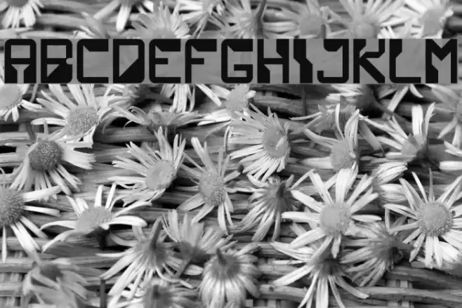 TechnoPro Regular Font examples